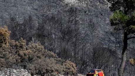 En direct, incendie dans l’Aude : l’immense feu n’est toujours pas éteint ; « La biodiversité en a pris un coup », selon l’ONF