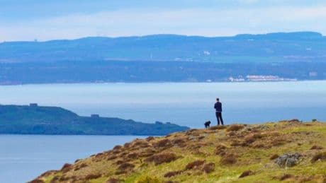 Scotland's 'most dog friendly' walks crowned as city beauty spot tops list