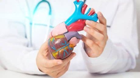 Insufficienza cardiaca, studio Anmco ha valutato risposta pazienti a 4 pilastri terapeutici