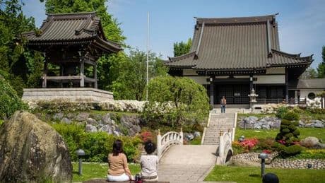 Japan-Tag in Düsseldorf: In NRW leben gut 12.000 Japaner