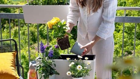 This self-watering planter is a 'water-wise' solution to gardening under the hosepipe bans