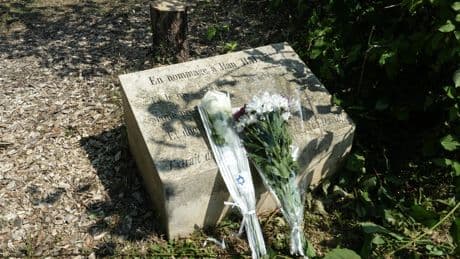 Twee broers opgepakt om kappen herdenkingsboom voor vermoorde Joodse man