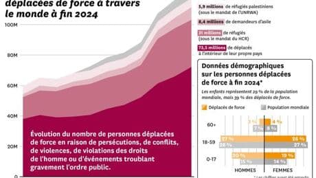 Des graphiques pour comprendre le nombre record de personnes déplacées de force