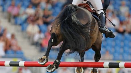 Kritik am Regelwerk: Hat der Reitsport ein Problem mit System?