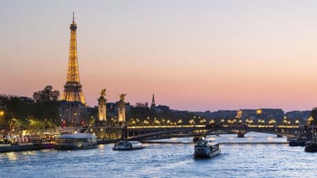 Plus propre, la Seine voit le retour de ses poissons historiques