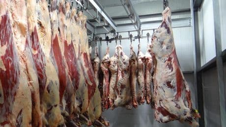La industria cárnica y las pequeñas granjas lecheras reciben el golpe del apagón en el campo, con 200M en pérdidas