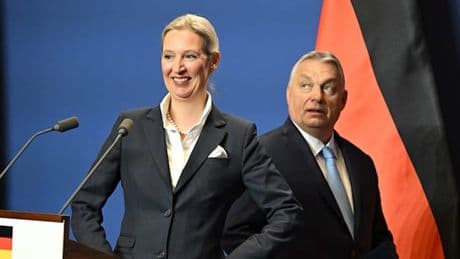 „Die Stärke der AfD verhindert, dass Politik im Sinne der rechten Wählerschaft umgesetzt wird“