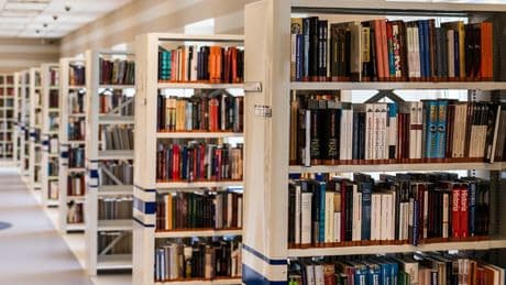Dinozor Çocuk ve Dinozor Genç’ten yaz tatiline özel kitap önerileri