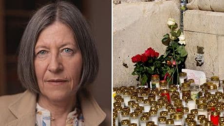 Waffenrecht in Österreich: "Und was ist passiert? So gut wie nichts"