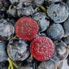The fruit your kids WILL actually want to eat: Brand new superfruit dubbed 'Boombites' tastes like grapes but has bright red pulp like cherries