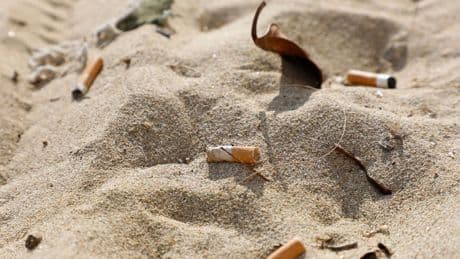 Umweltschutz: Immer mehr rauchfreie Zonen an Stränden im Norden