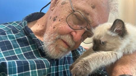 ‘Pure joy, the giggles, the laughter’: Kittens descend on B.C. ‘dementia village’