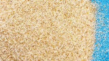 Let's Settle This: Is Psyllium Husk Really 'Nature's Ozempic'?