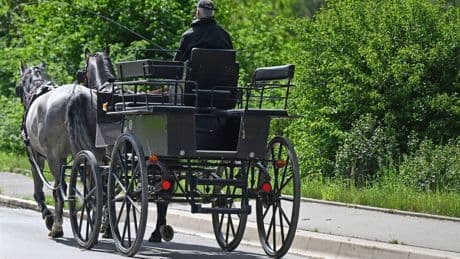 Tiere: Pferde rennen mit herrenloser Kutsche durch Altstadt