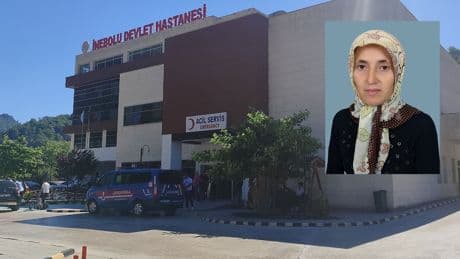 Üzüm yaprağı toplarken düşen kadın hayatını kaybetti