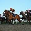 Robin Goodfellow's racing tips: Best bets for Saturday, June 21