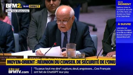 Israël/Palestine : "La solution à deux États, la seule voie possible", déclare le représentant de la Palestine