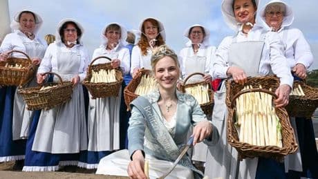 Spargelsaison: Spargelfest in Beelitz startet mit Sicherheitskontrollen