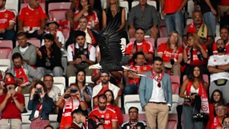 Benfica-Fenerbahçe maçı öncesinde kartal uçuruldu