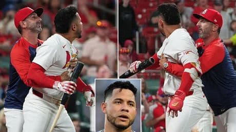 Cardinals slugger Willson Contreras launches tirade and throws bat at umpire... but hits coach instead