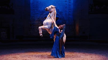 À Chantilly, un spectacle équestre célèbre Les Très Riches Heures du duc de Berry