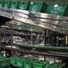 Évacuation d’une usine Heineken à Mons-en-Barœul après une fuite d’ammoniac