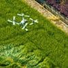 L'épandage par drone de pesticides sera désormais autorisé dans certains cas en France