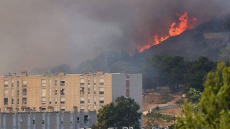 Marseille: Feuer-Inferno in Südfrankreich noch nicht unter Kontrolle