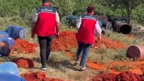 Bakanlıktan salça denetimi; 6 ton domates posası imha edildi