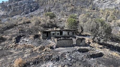 Mersin'deki yangının ardından kahreden görüntüler... 15 bin dönümden fazla alan küle döndü