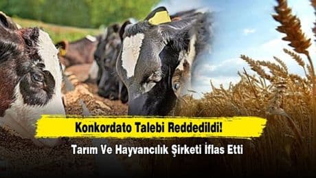 Herkes güvenle alışveriş yapıyordu: Türkiye'nin tarım ve hayvancılık firması iflas etti!