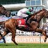 Robin Goodfellow's racing tips: Best bets for Saturday, May 3