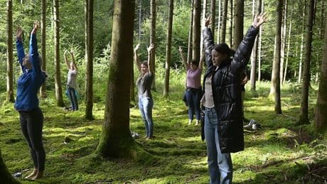 Kolumne: Schön doof: Lasst uns Bäume umarmen - im Wohnzimmer