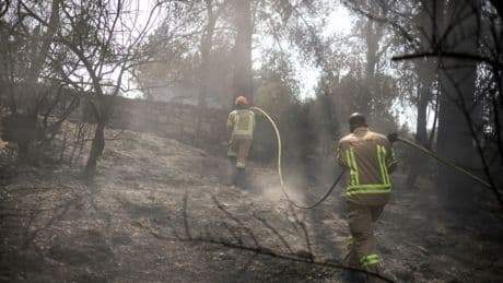 Feuerwehr: Buschbrände nahe Jerusalem weitgehend unter Kontrolle