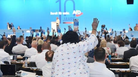 Sachsen-Anhalt: AfD auf Rekordkurs – was dahintersteckt