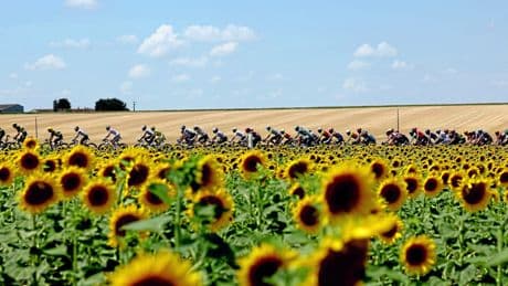 Tour de France | Britanniens Rückzug: Shakespeare und der Ausreißer Simon Yates