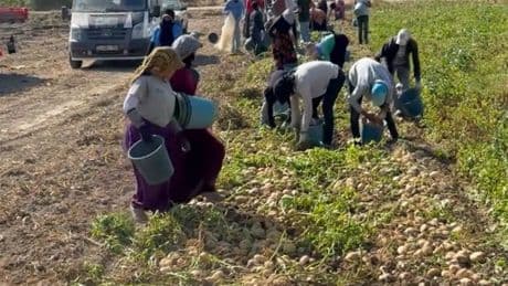Marketlerin verdiği fiyat isyan ettirdi, halka bedava dağıttı