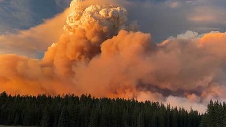 Grand Canyon ‘megafire’ timelapse shows rare fire cloud forming