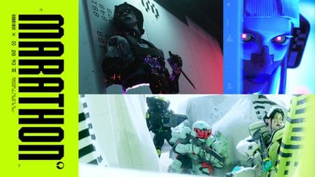 Bungie caught stealing artwork again