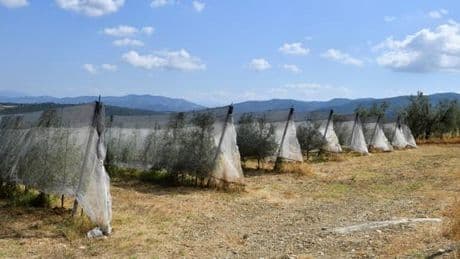 Comment le réchauffement climatique fait grimper les prix de l’alimentation