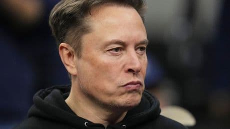 USA: Musk: USA sind Einparteienstaat der „Schweinchen-Dick-Partei“