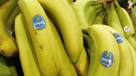 Panama: le géant de la banane Chiquita licencie l'intégralité de son personnel