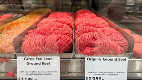 Beef prices reach record high - up almost 50% in five years