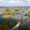 Florida building 'Alligator Alcatraz' migrant detention centre in Everglades