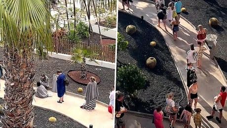 Vrouw filmt ‘handdoekoorlog’ bij hotel