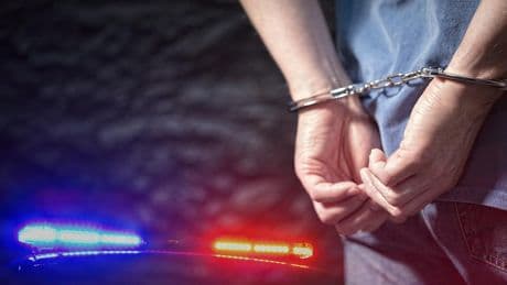 Van'da kaçakçılara darbe: 28 şüpheli tutuklandı