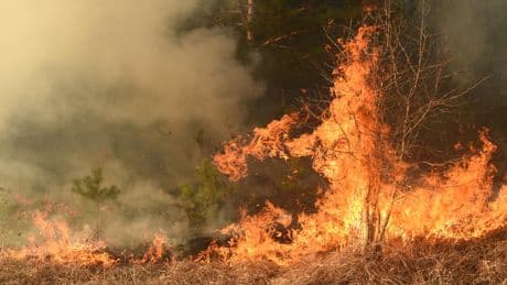 Un second incendie en cours dans l’Hérault, deux campings évacués