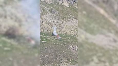 Heli-Drama in der Schweiz - Der Absturz im Video