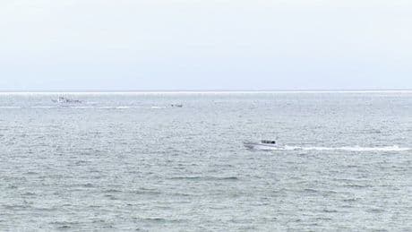 Six killed in small plane crash off the San Diego coast