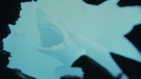 Think you know 'Jaws'? Test your knowledge with this trivia ahead of the movie's 50th anniversary